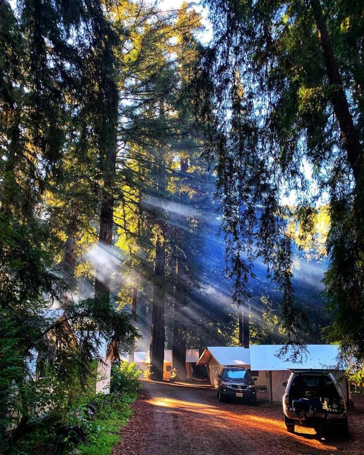 Fernwood Resort Big Sur Exteriér fotografie